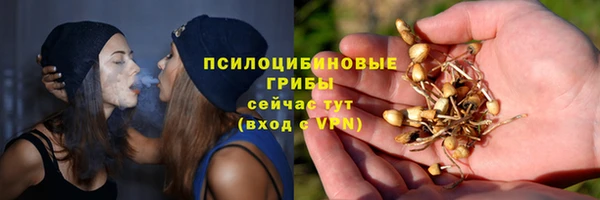 ешки Алексин
