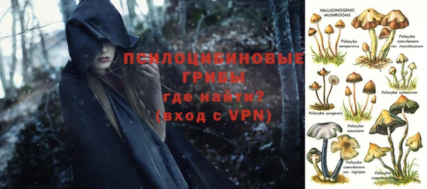 ешки Абдулино