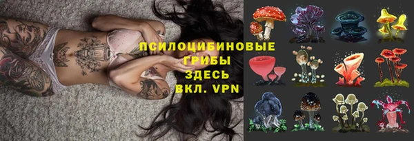 ешки Абдулино
